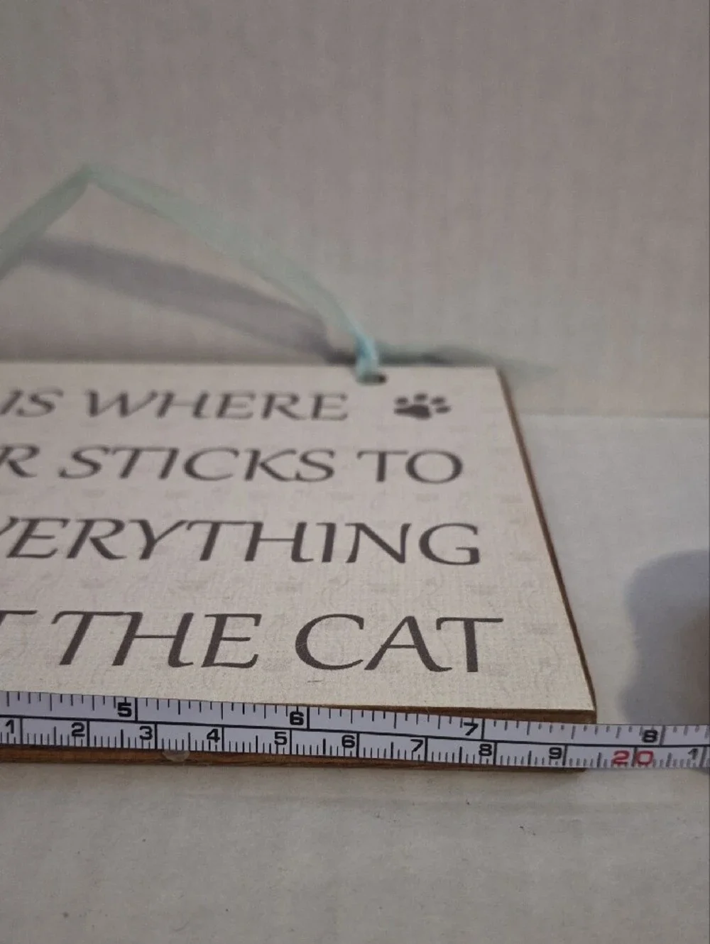 Source Unknown Cat Hair Quote Hanging Sign - Light Blue and Beige